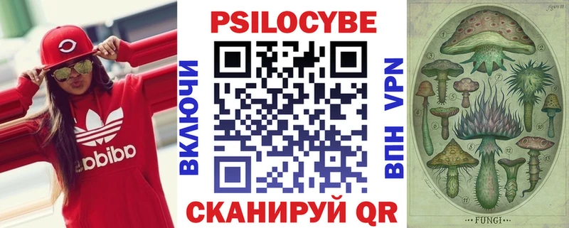 нарко площадка официальный сайт  Минусинск  Псилоцибиновые грибы Cubensis 